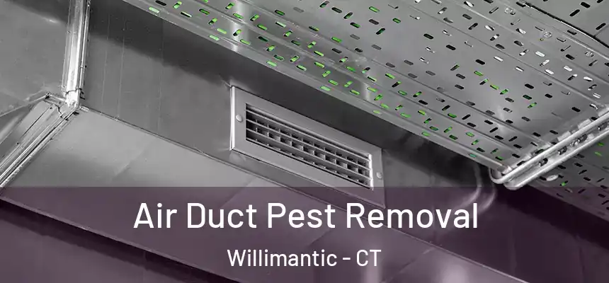  Air Duct Pest Removal Willimantic - CT