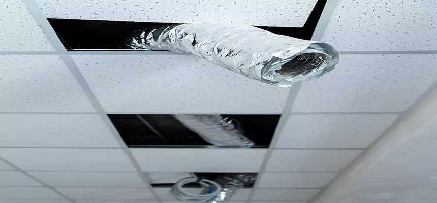 Our Air Duct Pet Hair Removal Services in Willimantic, CT