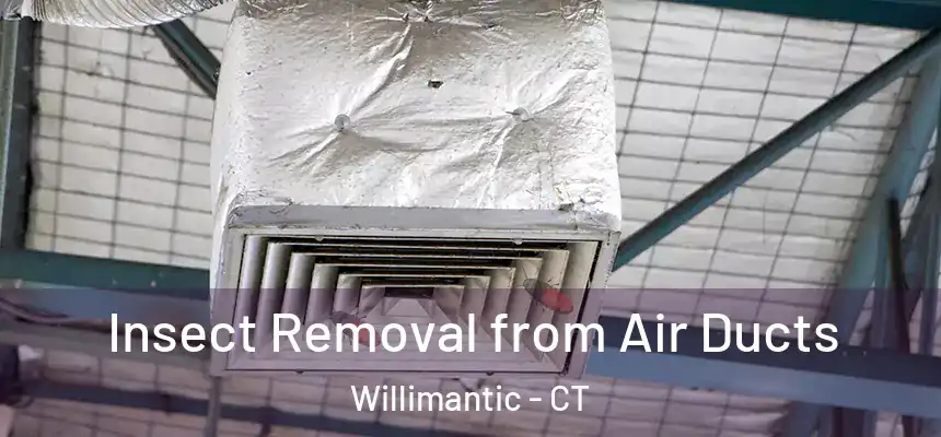  Insect Removal from Air Ducts Willimantic - CT
