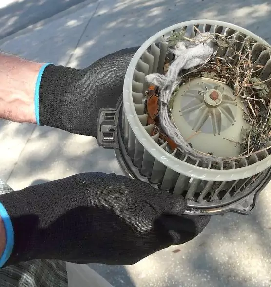 About Air Duct Rat Removal in Willimantic, CT