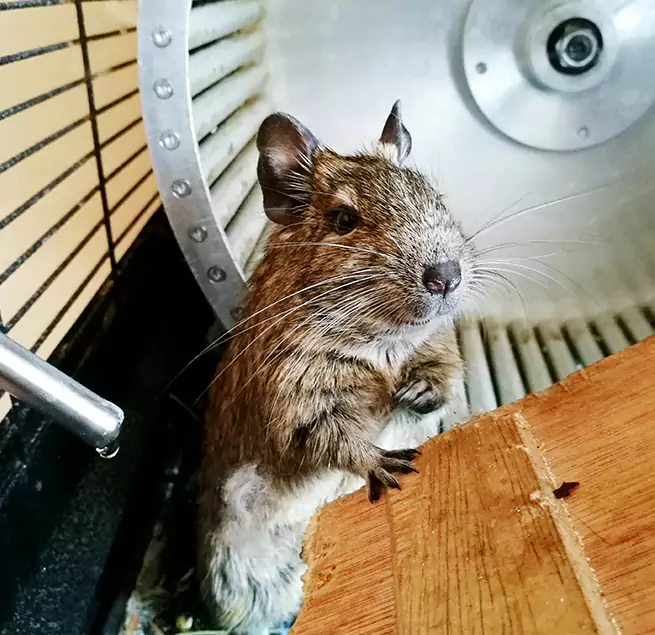 Why Homeowners & Businesses Trust Us Willimantic, CT?