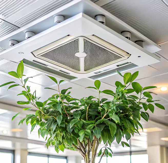 Why Homeowners & Businesses Trust Us in Willimantic, CT?