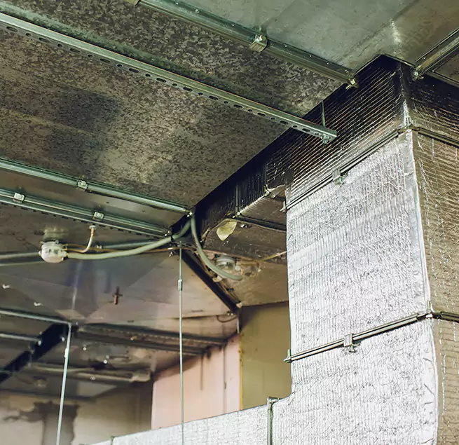 Why Homeowners & Businesses Trust Us in Willimantic, CT?